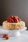 Наполеон торт - Домашний ванильный, кондитерский крем и клубничный торт Mille-feuille — стоковое фото