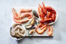 Асортимент різних сирих морепродуктів креветки, ківі мідії, кальмари та рахівниці — стокове фото