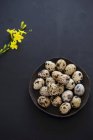 Quail eggs in bowl and yellow flowers on black surface — Stock Photo