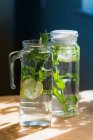 Agua de saúco en jarras de vidrio - foto de stock