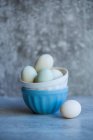 Duck eggs in white and blue porcelain bowls — Stock Photo