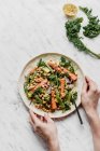 Salat mit Hirsekohl, gerösteten Karotten, Avocado-Bohnen und Kichererbsen — Stockfoto