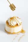 Ванільний чізкейк з рикоттою з медом — стокове фото