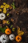 Autumn pumpkins chestnuts and leaves — Stock Photo