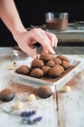 Praliné au chocolat à base de noisettes et de cacao — Photo de stock