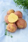 Fresh potatoes on a white background — Stock Photo