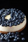 Cheesecake with fresh blueberries — Stock Photo