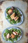 Mixed salad leaves with duck breast — Stock Photo