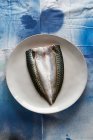 Ein rohes Makrelenfilet auf einem Teller (Draufsicht)) — Stockfoto