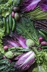 Різні зелені та фіолетові овочі — стокове фото