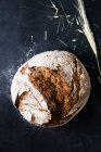 Une miche de pain frais — Photo de stock
