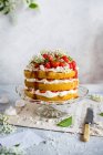 Multi-layer strawberry cream cake with meringue — Stock Photo