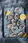 Fresh oysters with lemons on ice — Stock Photo