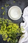 An empty white tea cup, a linen cloth, and green blossoms (top view) — Stock Photo