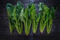 Bunches of Spinach close-up view — Stock Photo