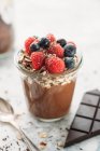 Coconut and chocolate yoghurt with oatmeal, nuts and berries (vegan) — Stock Photo