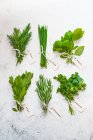 Various herbs with tags — Stock Photo