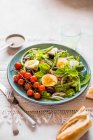 Schöner Salat mit Bohnen. Eier, Sardellen, Oliven und Tomaten — Stockfoto
