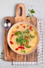 Vegetable soup with chicken, broccoli and red pepper — Stock Photo