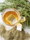 Chá de tomilho em uma xícara de vidro com um saco de chá — Fotografia de Stock