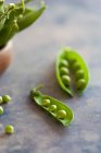 Opened pea pod close-up view — Stock Photo