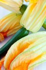 Zucchine su fondo bianco — Foto stock