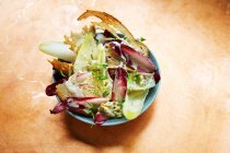 Chicory and treviso salad with toasted bread — Stock Photo