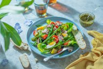 Летний салат из тунца с жареными помидорами и никоазовым соусом — стоковое фото