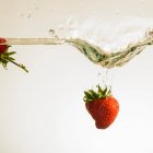 Erdbeere fällt ins Wasser — Stockfoto