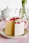 Vanilla and raspberry sponge roll cake — Stock Photo