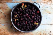 Fresh blackberries in metal jar — Stock Photo