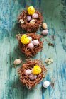 Пасхальные гнезда с шоколадными яйцами и пасхальными цыплятами — стоковое фото