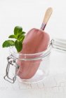 Raspberry ice cream on a stick with mint in a glass jar — Stock Photo