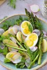 Весняний салат зі спаржею, яйцями та редькою — стокове фото