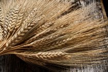 Вуха пшениці — стокове фото