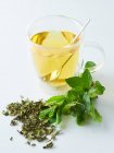 Mint tea, fresh mint and dried tea leaves — Stock Photo