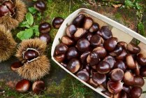 Chestnuts in a wooden basket — Stock Photo