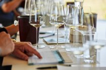 Wine tasting close-up view — Stock Photo