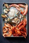 Асортимент різних сирих морепродуктів креветки, ківі мідії, кальмари та рабатка — стокове фото