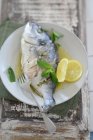 Poached dorade with lemon and mint — Stock Photo