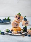 Blaubeer-Muffins mit frischen Beeren — Stockfoto