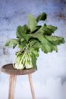Fresh kohlrabi with leaves on a wooden stool — Stock Photo