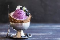 Homemade blueberry ice cream in a coconut shell — Stock Photo