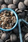 Organic walnuts, a nutcracker and nut shells — Stock Photo
