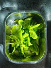 Fresh green salad in a glass jar on a black background. — Stock Photo