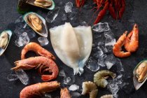 Surtido de diversos mariscos crudos - camarones, mejillones kiwi, calamares y cangrejos sobre hielo - foto de stock