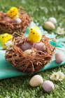 Пасхальные гнезда с шоколадными яйцами и пасхальными цыплятами на траве — стоковое фото