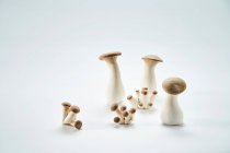 Крупным планом вкусные королевские устричные грибы — стоковое фото