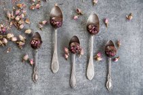Vegan date truffles with dried rosebuds (seen from above) — Stock Photo