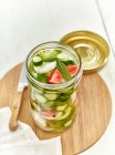 Lacto fermented mini cucumbers with radishes — Stock Photo